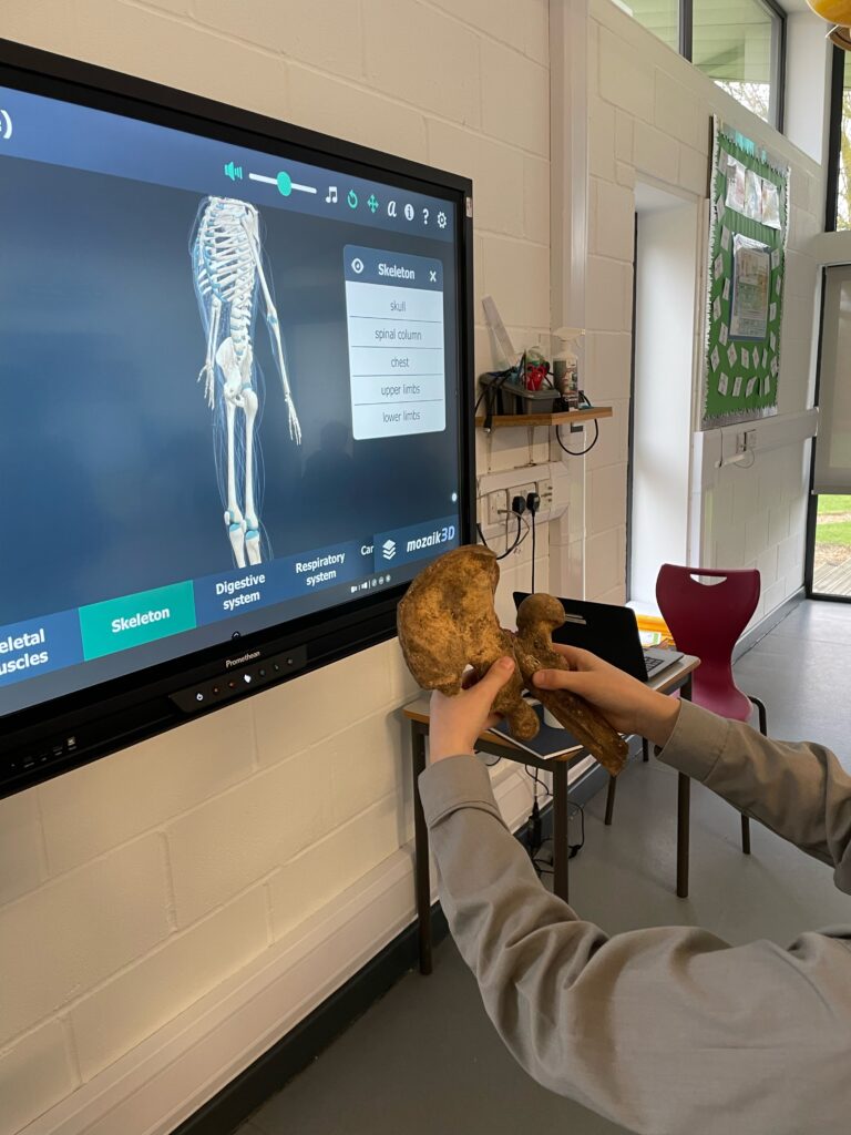 The Copthill Bones!, Copthill School