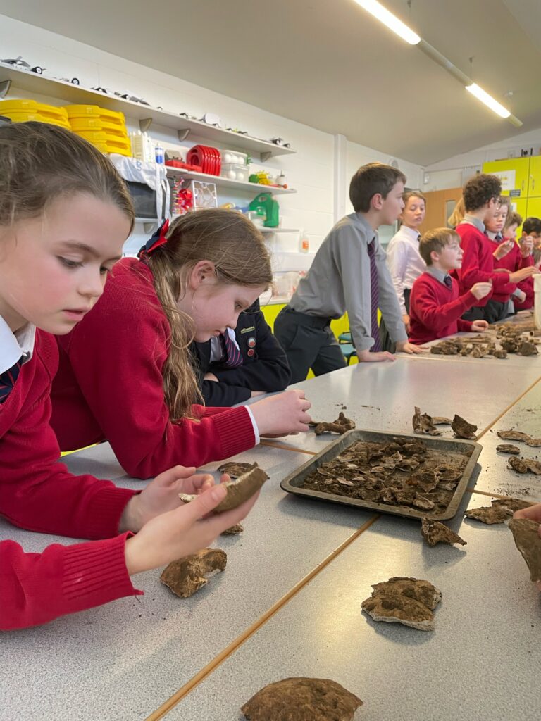 The Copthill Bones!, Copthill School