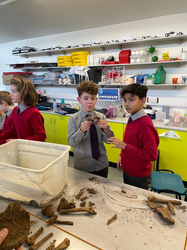 The Copthill Bones!, Copthill School