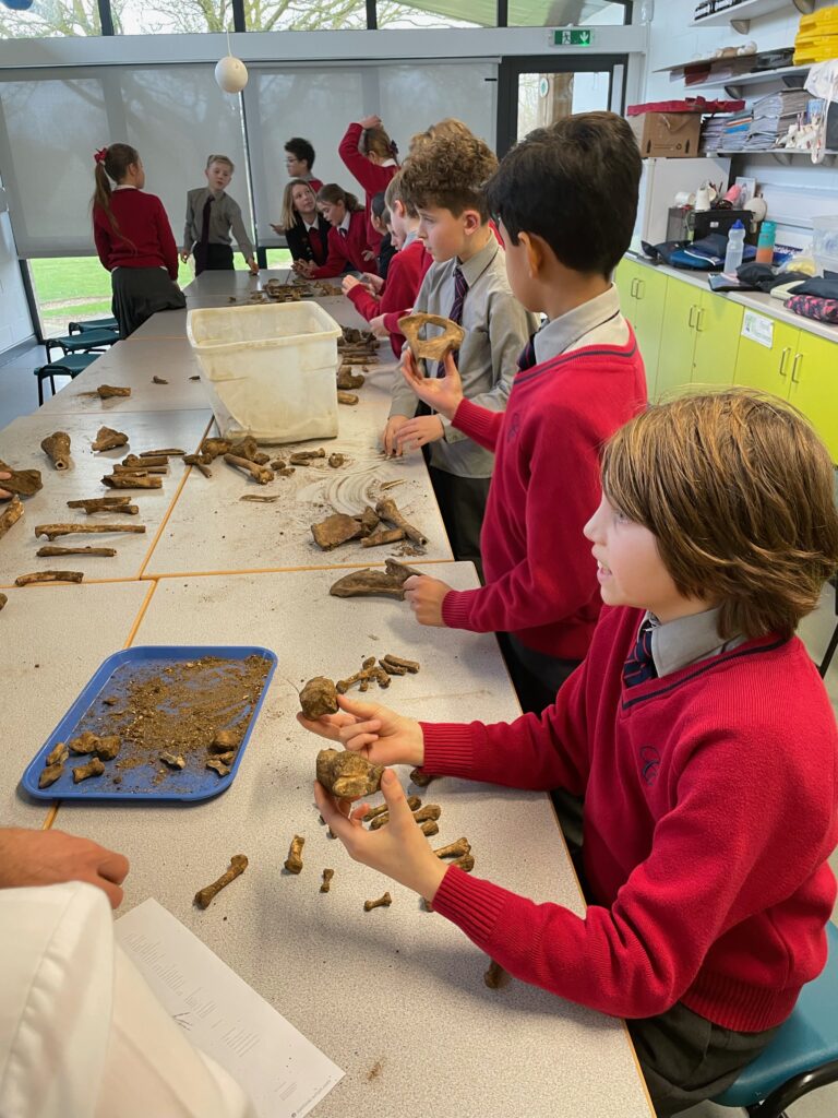 The Copthill Bones!, Copthill School