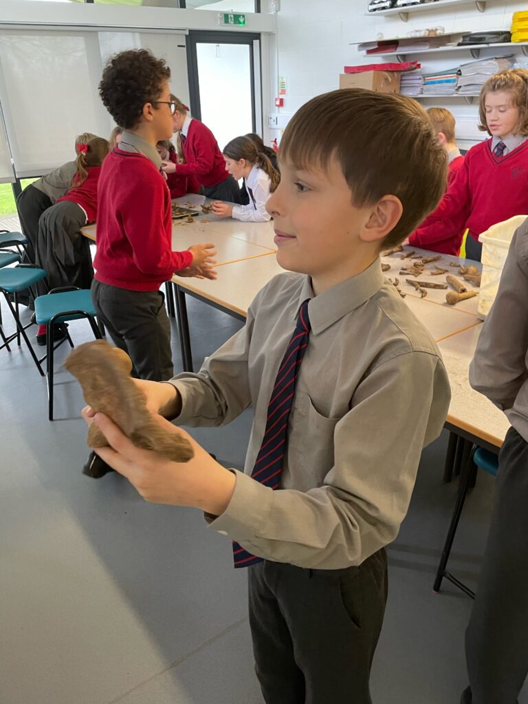 The Copthill Bones!, Copthill School