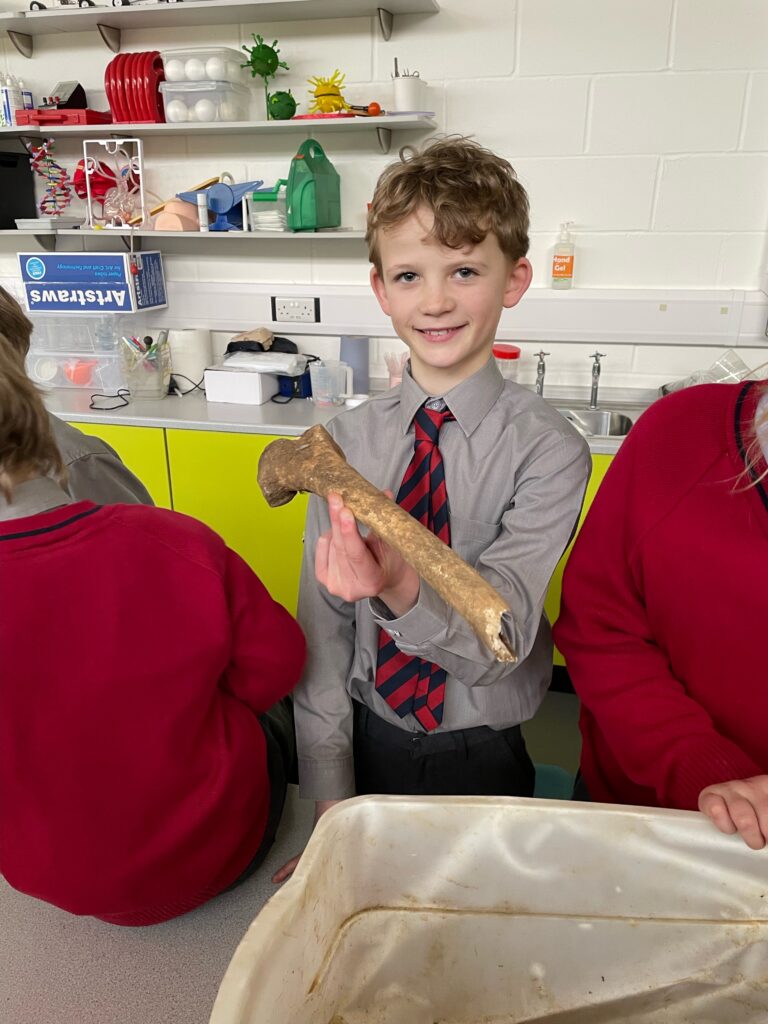 The Copthill Bones!, Copthill School