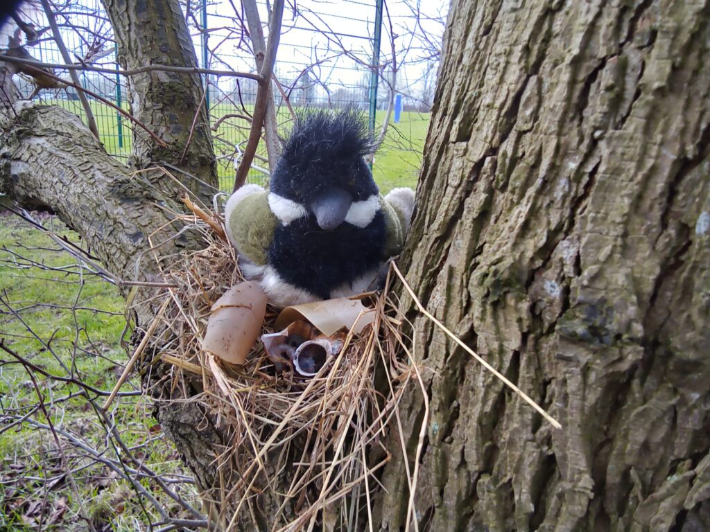 Who goes there?, Copthill School