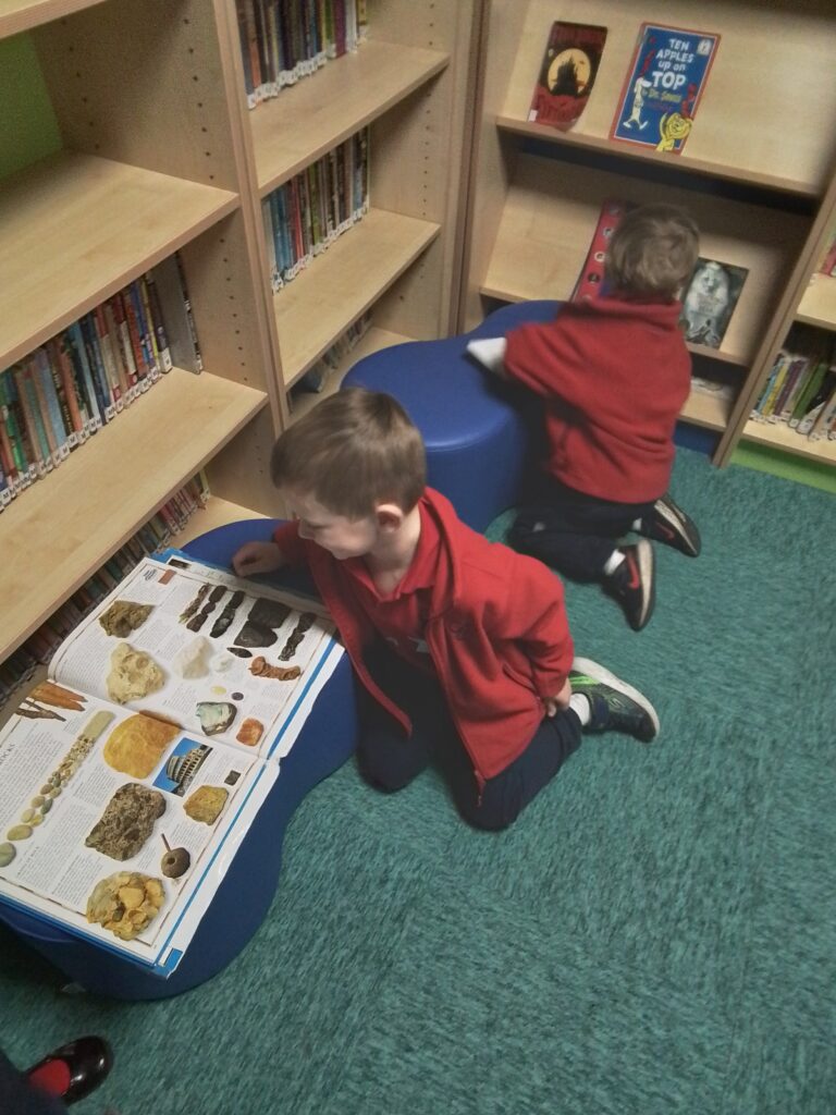 Fascinating Sea Creatures!, Copthill School