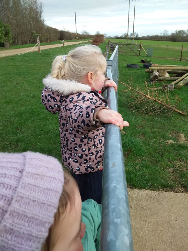 Going on a walk, Copthill School