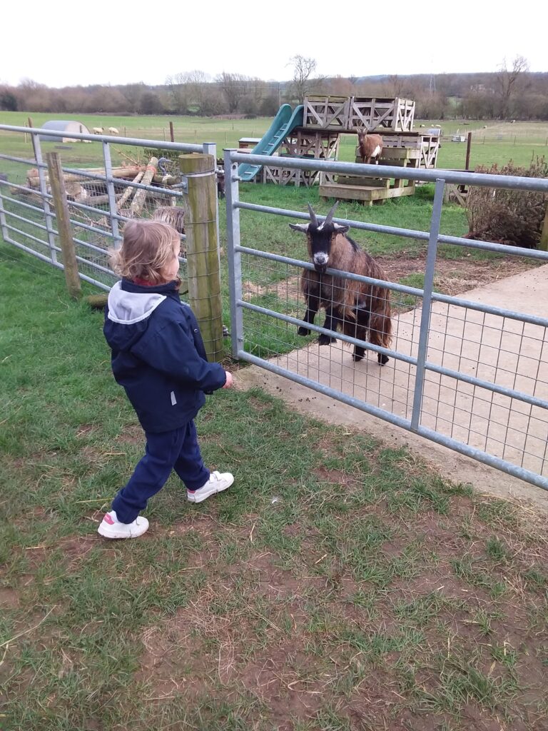 Going on a walk, Copthill School