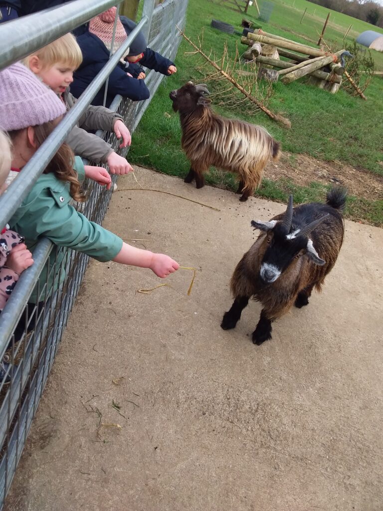 Going on a walk, Copthill School