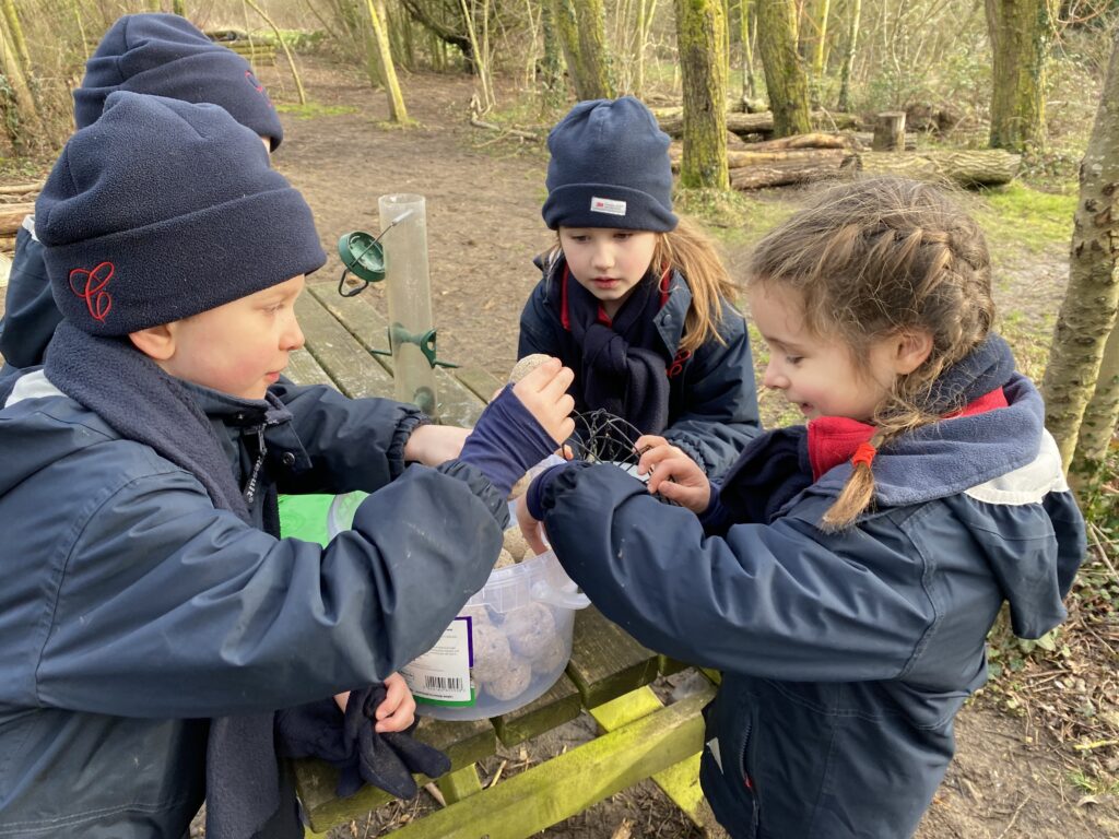 Love is in the air!, Copthill School