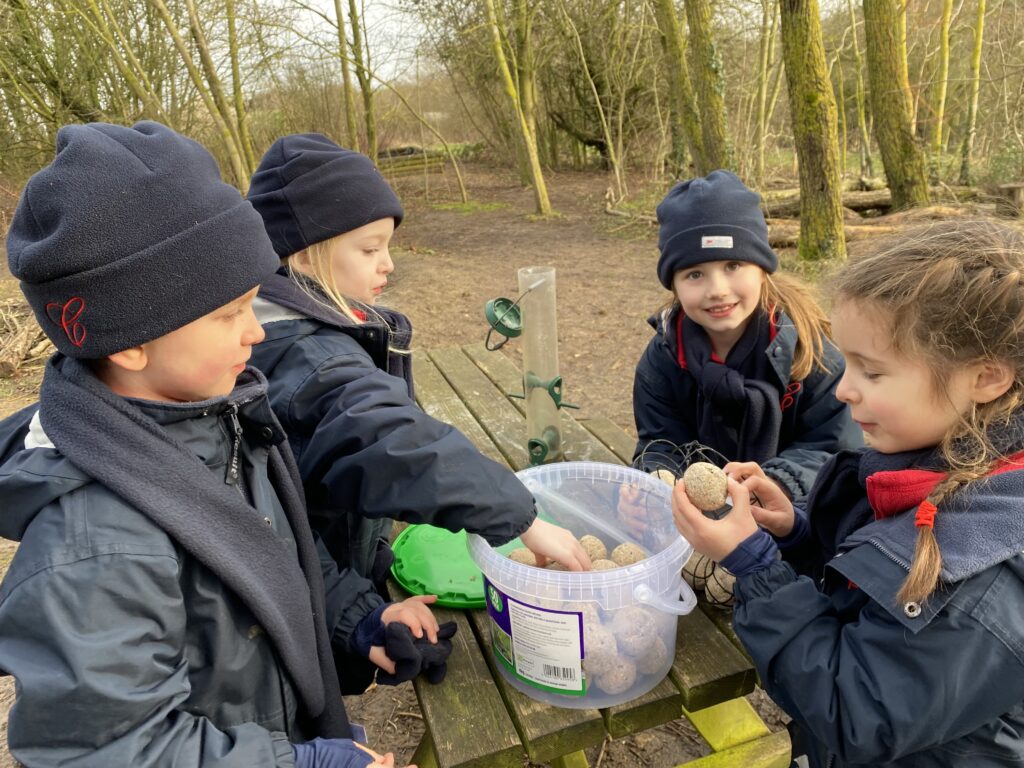 Love is in the air!, Copthill School