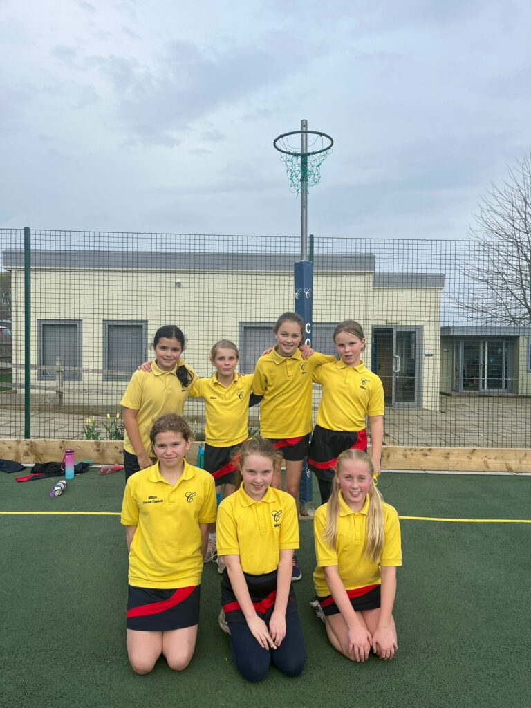 Year 5&amp;6 House Netball, Copthill School