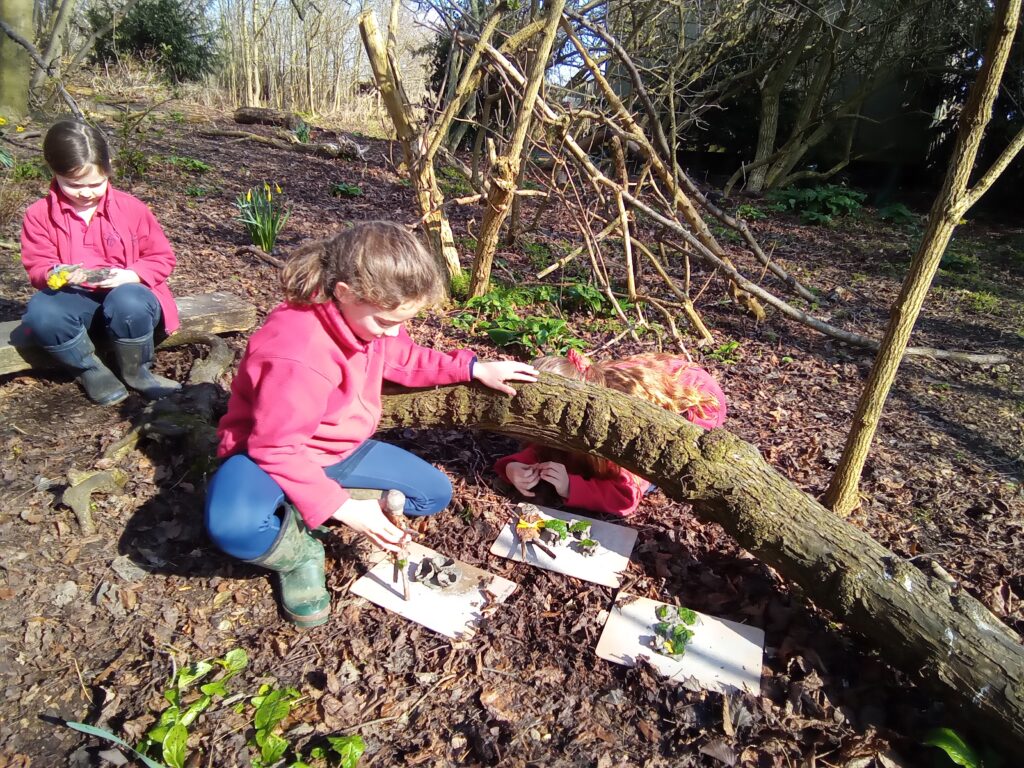 Wonderful Outdoor World Book Day!, Copthill School