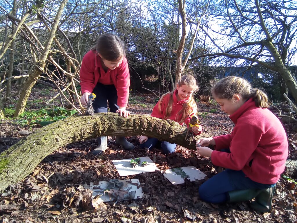 Wonderful Outdoor World Book Day!, Copthill School