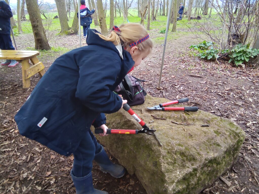 Wonderful Outdoor World Book Day!, Copthill School