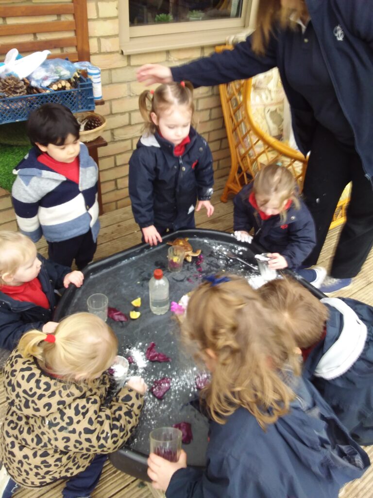 Fairy Potions, Copthill School