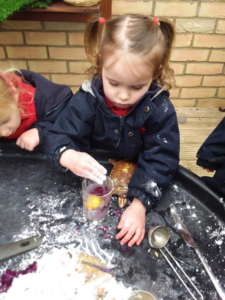 Fairy Potions, Copthill School