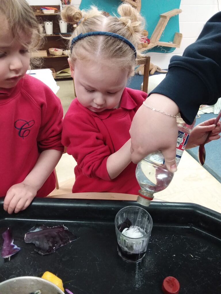 Fairy Potions, Copthill School