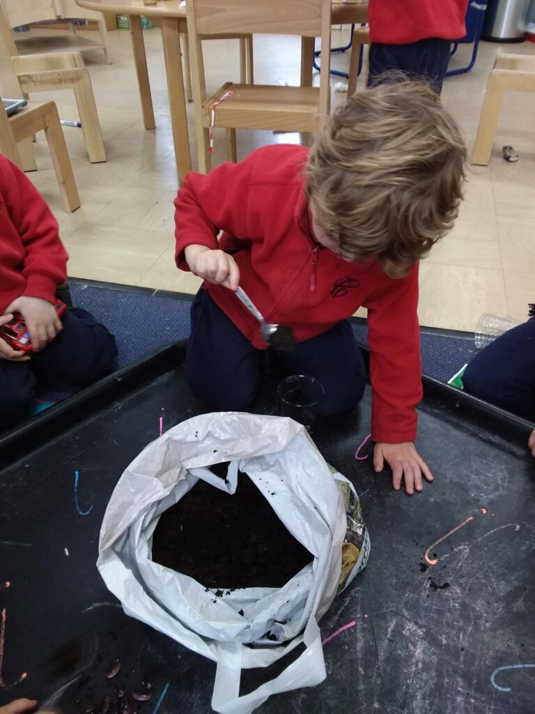 Planting Beans, Copthill School