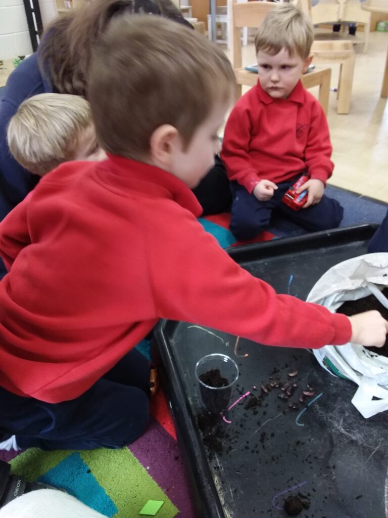 Planting Beans, Copthill School