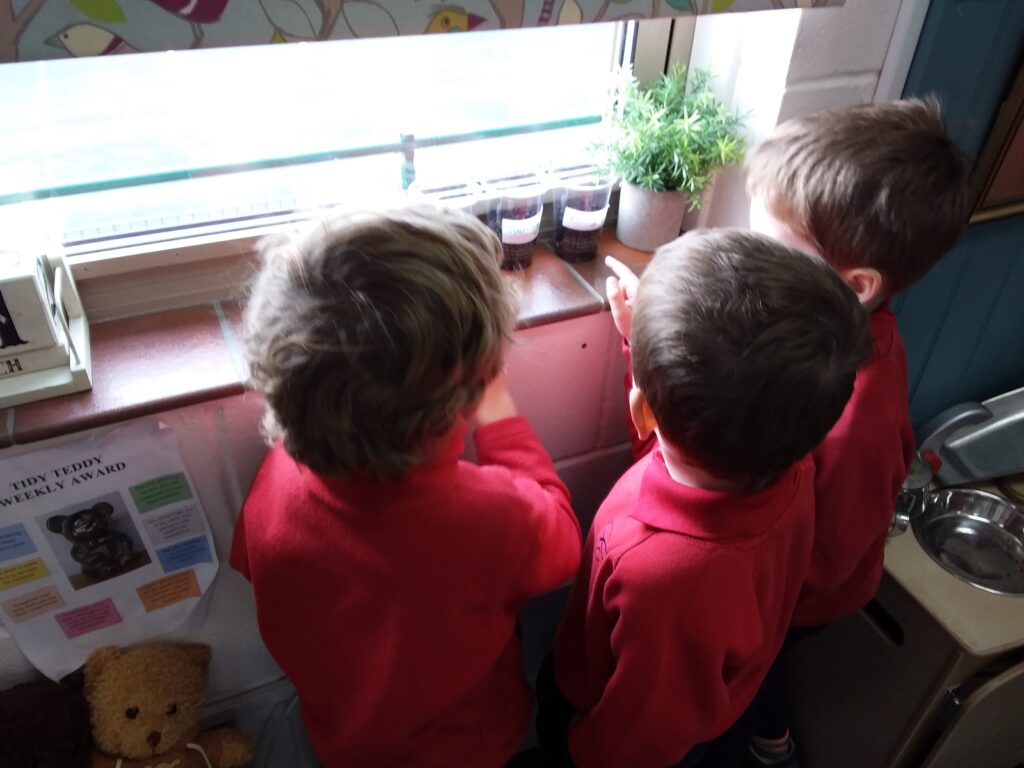 Planting Beans, Copthill School