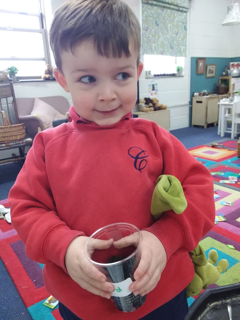 Planting Beans, Copthill School