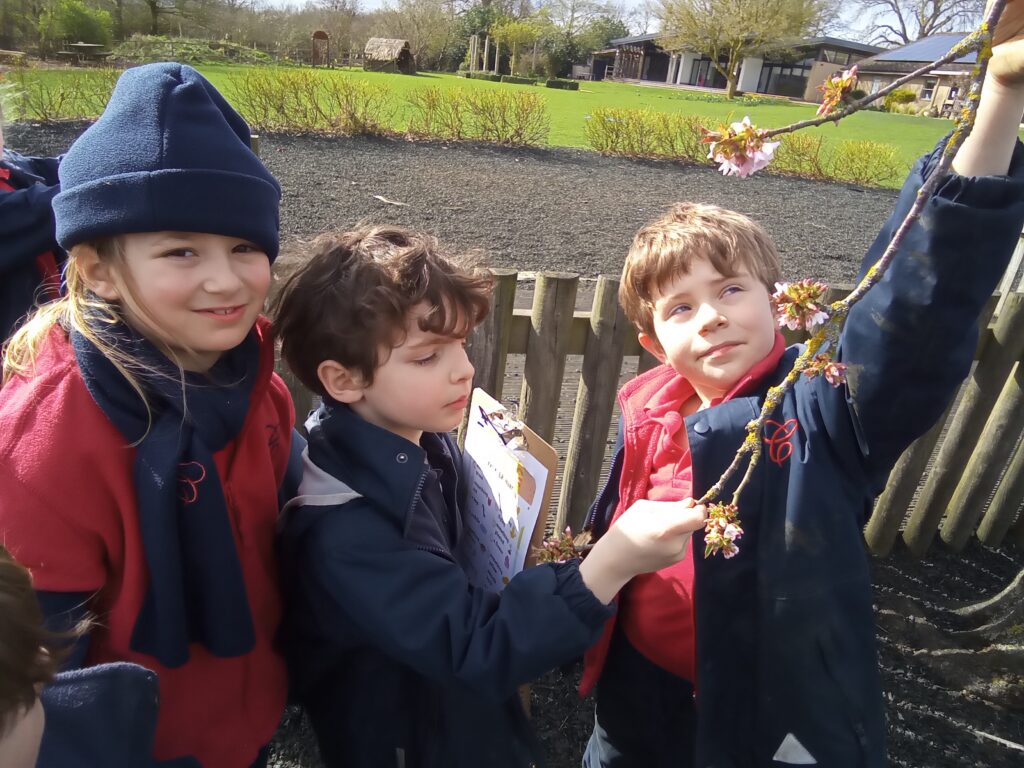 Springtime fun!, Copthill School