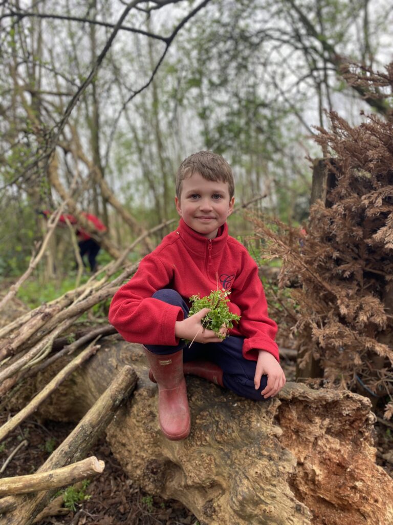 Springtime fun!, Copthill School