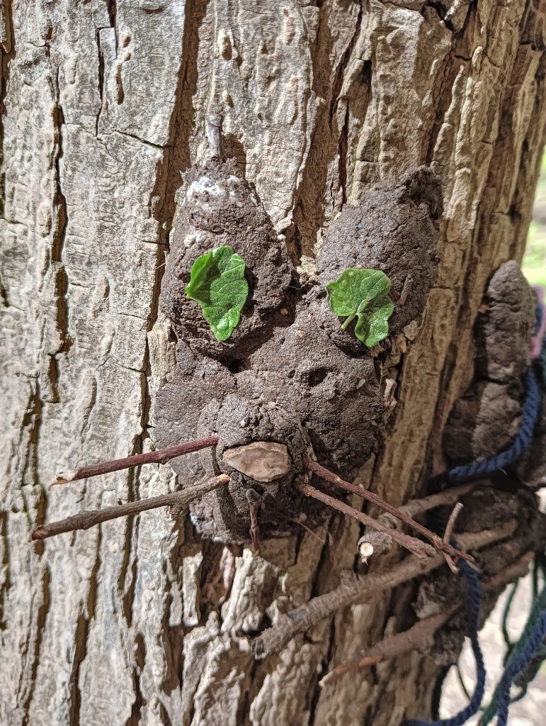 An afternoon of adventure&#8230;, Copthill School