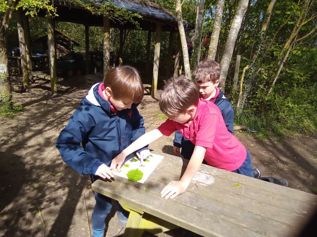 Taking our science outdoors!, Copthill School