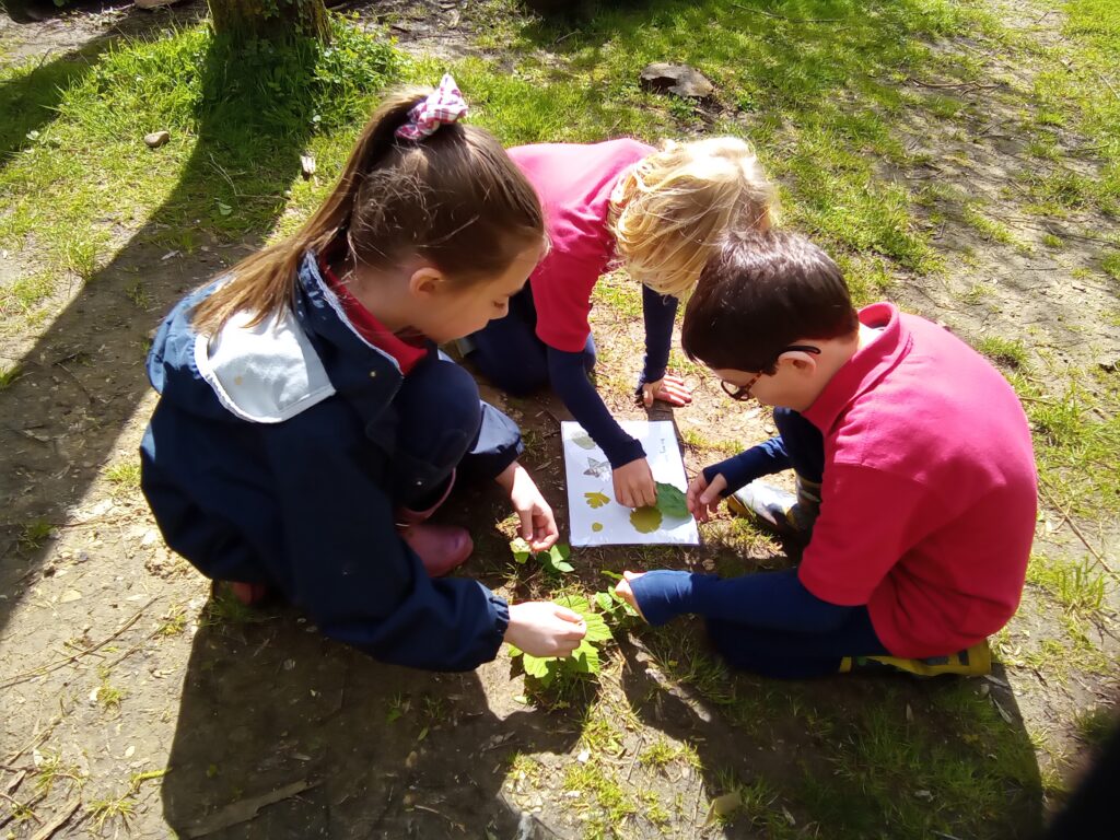 Taking our science outdoors!, Copthill School