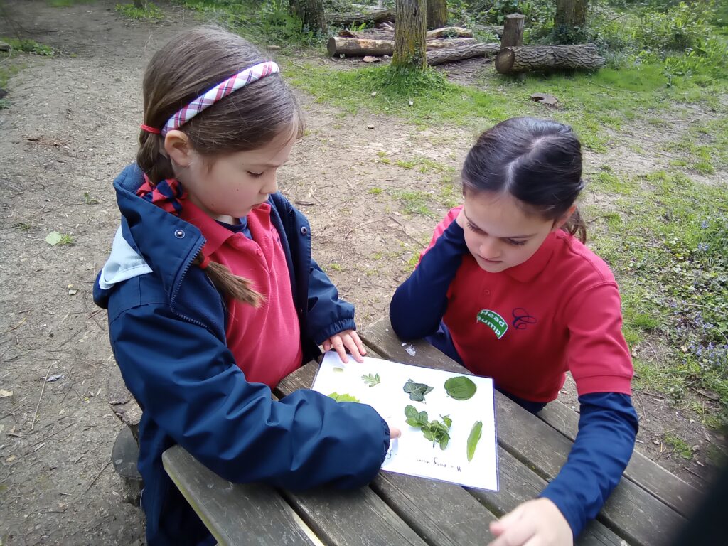 Taking our science outdoors!, Copthill School