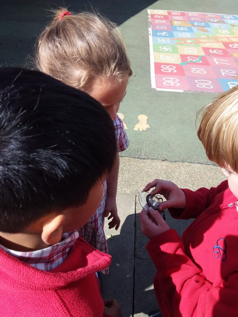 Never Eat Shredded Wheat&#8230;, Copthill School