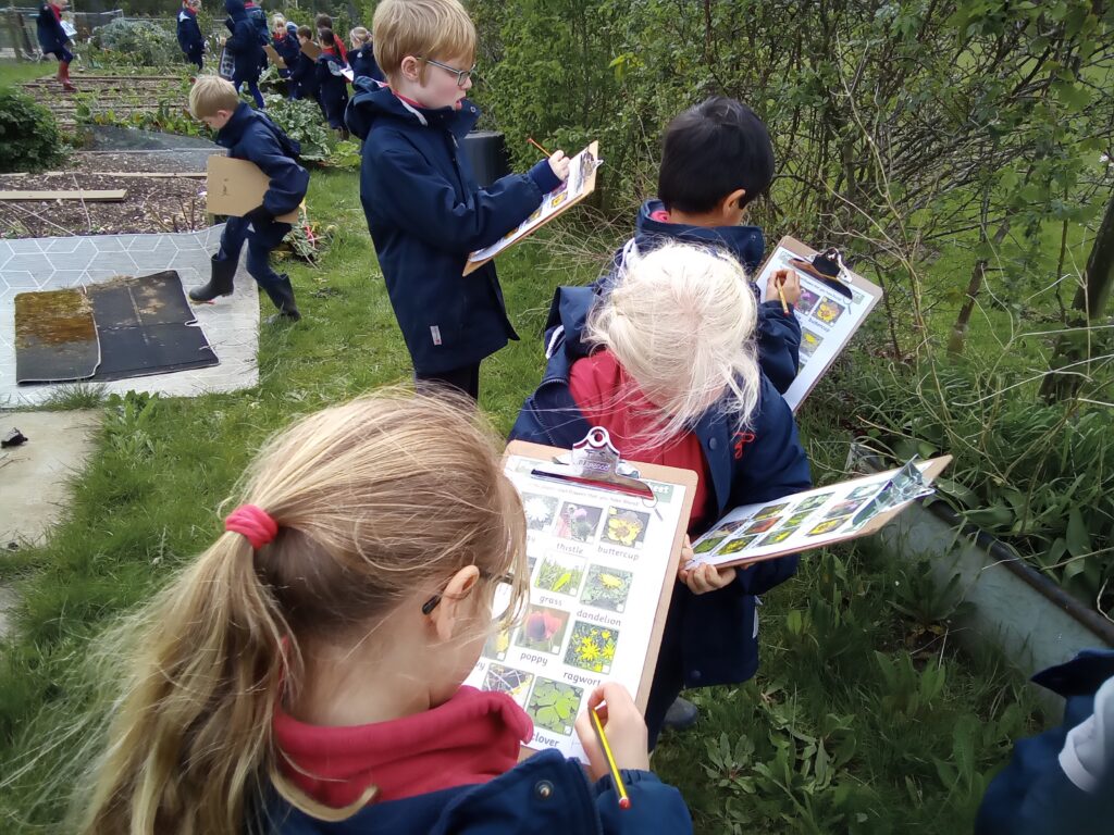 Taking our science outdoors!, Copthill School