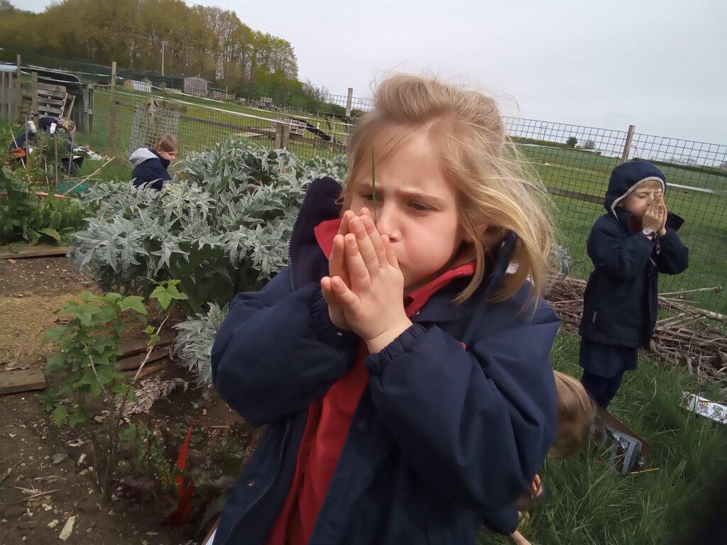 Taking our science outdoors!, Copthill School