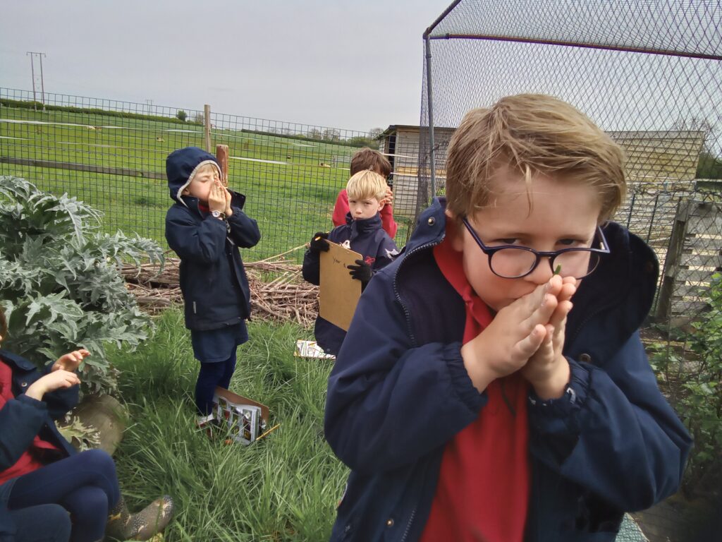 Taking our science outdoors!, Copthill School