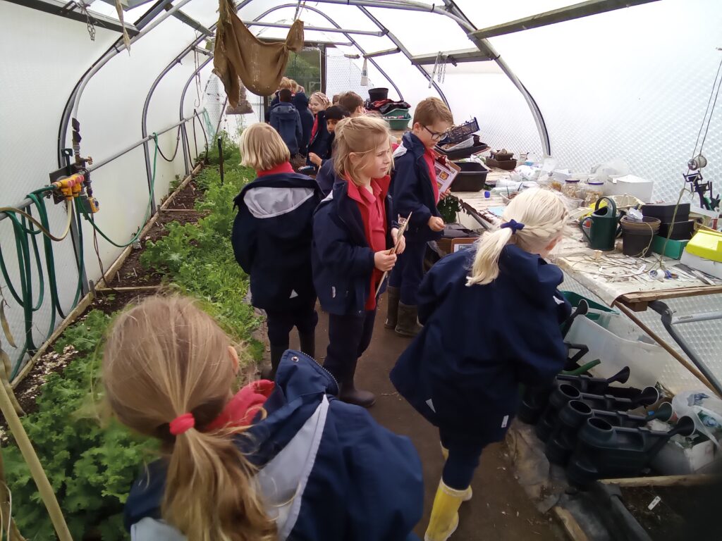 Taking our science outdoors!, Copthill School