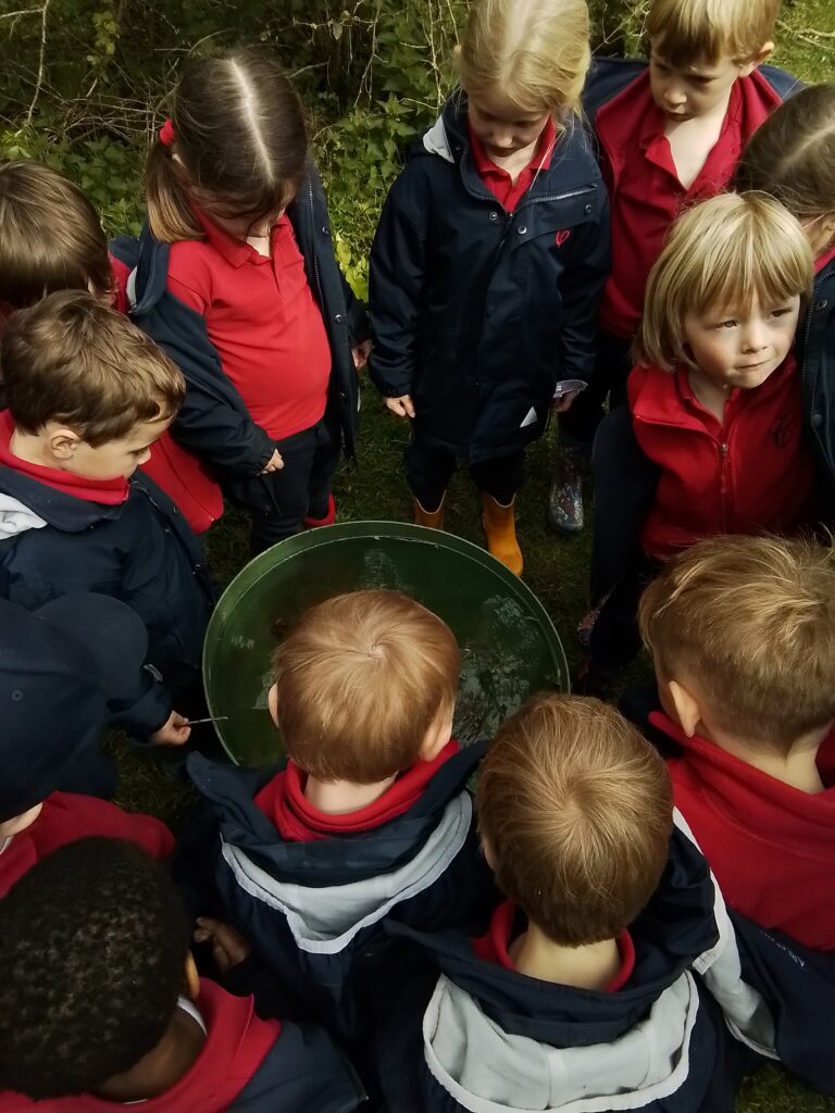 Spring and New Life!, Copthill School