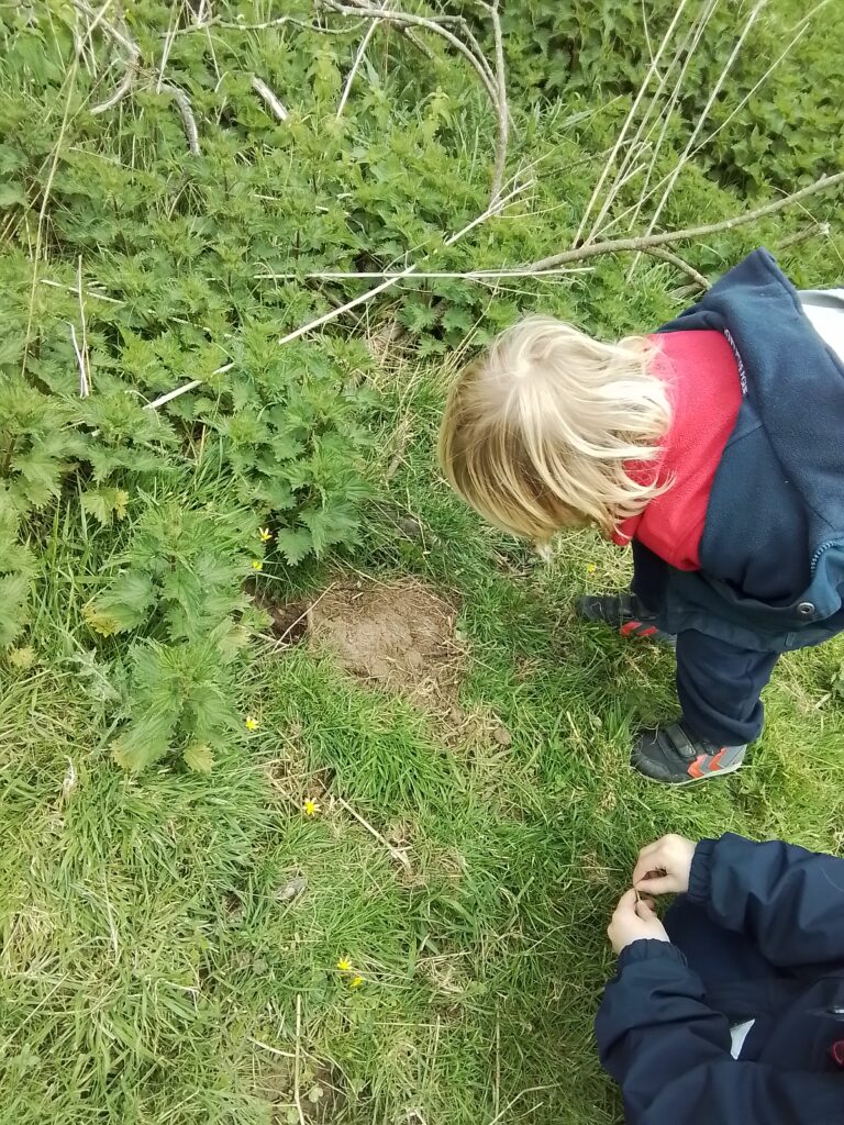 Spring and New Life!, Copthill School