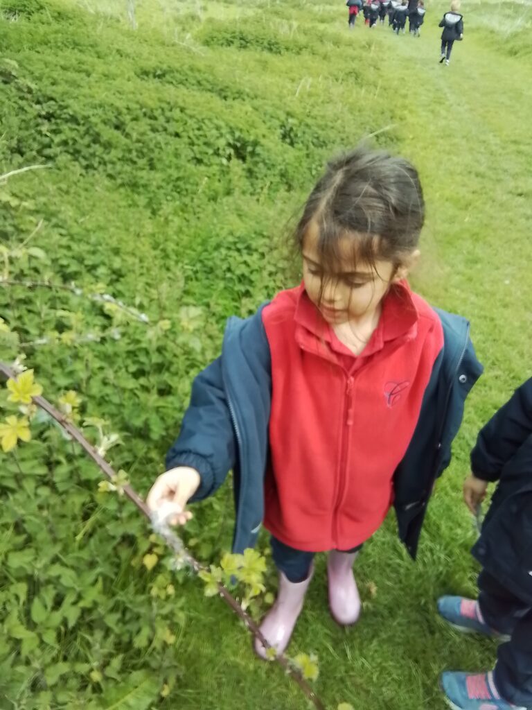 Spring and New Life!, Copthill School