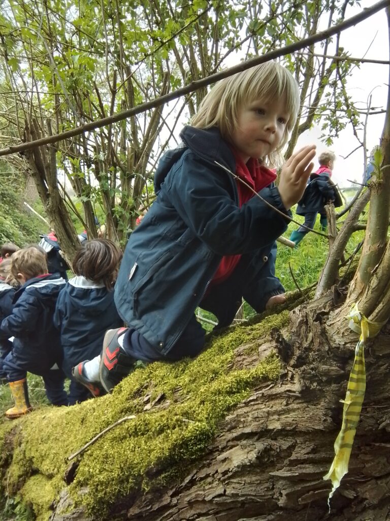 Spring and New Life!, Copthill School