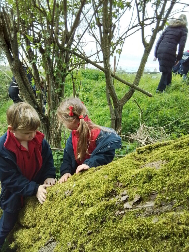 Spring and New Life!, Copthill School