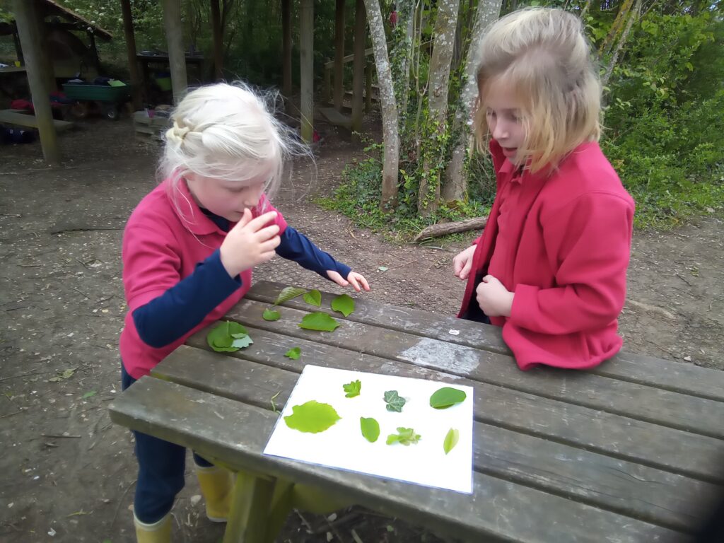 Taking our science outdoors!, Copthill School