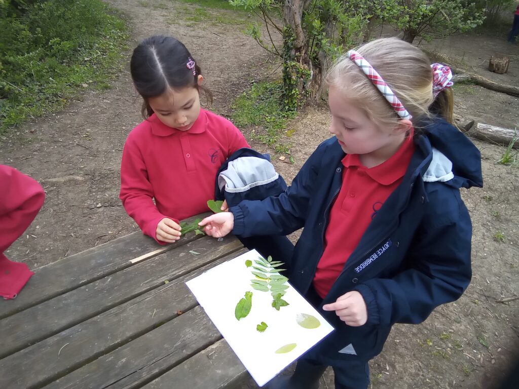 Taking our science outdoors!, Copthill School