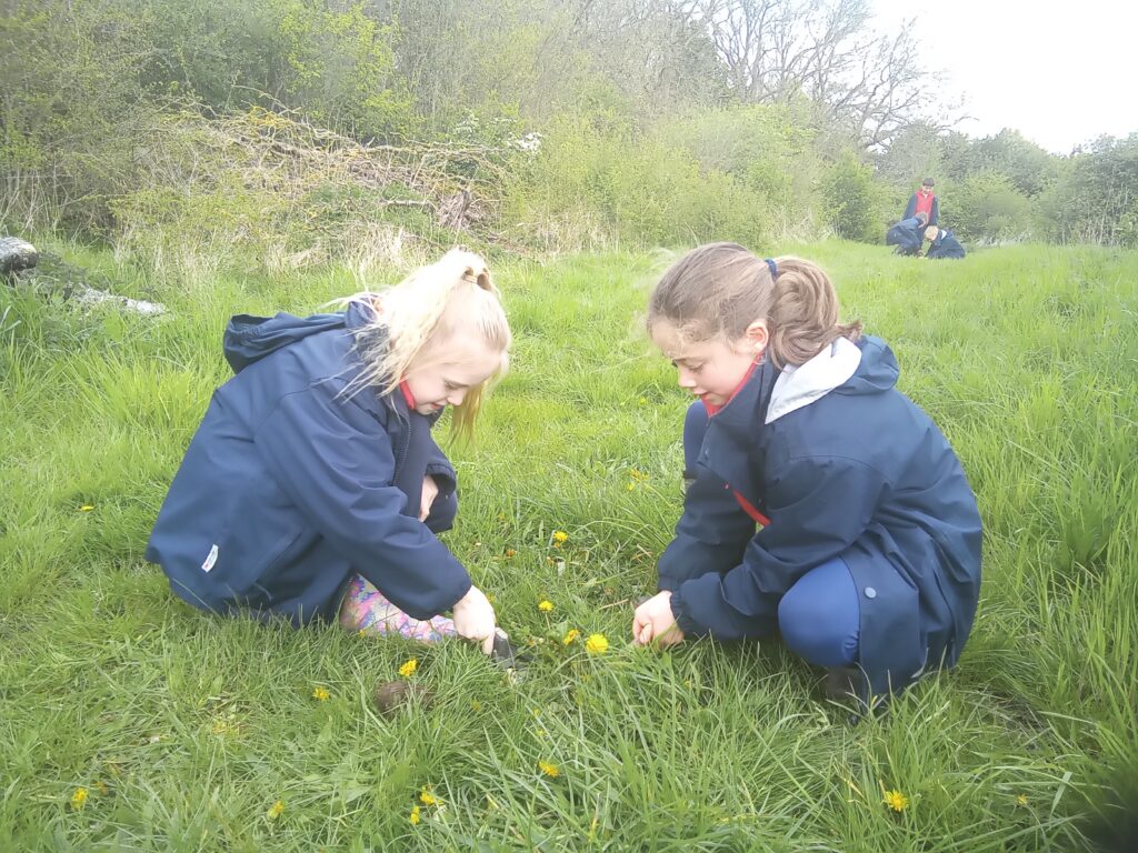 Taking our science outdoors!, Copthill School