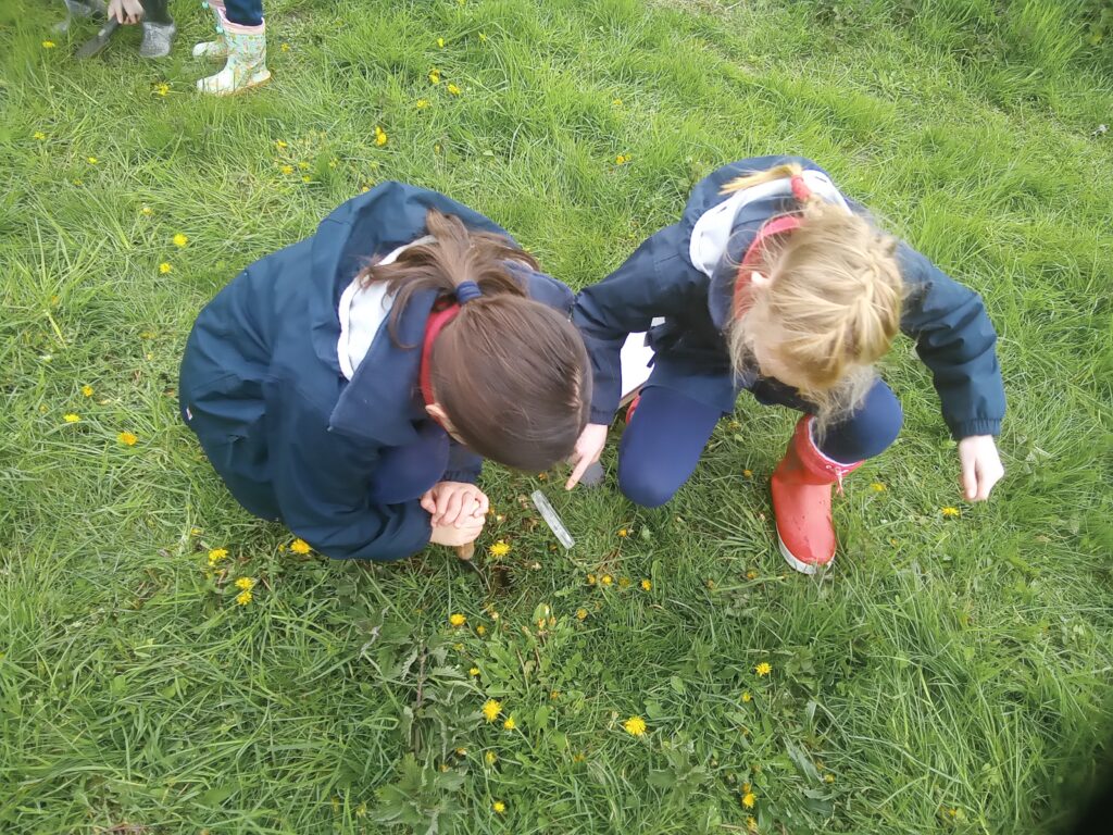 Taking our science outdoors!, Copthill School