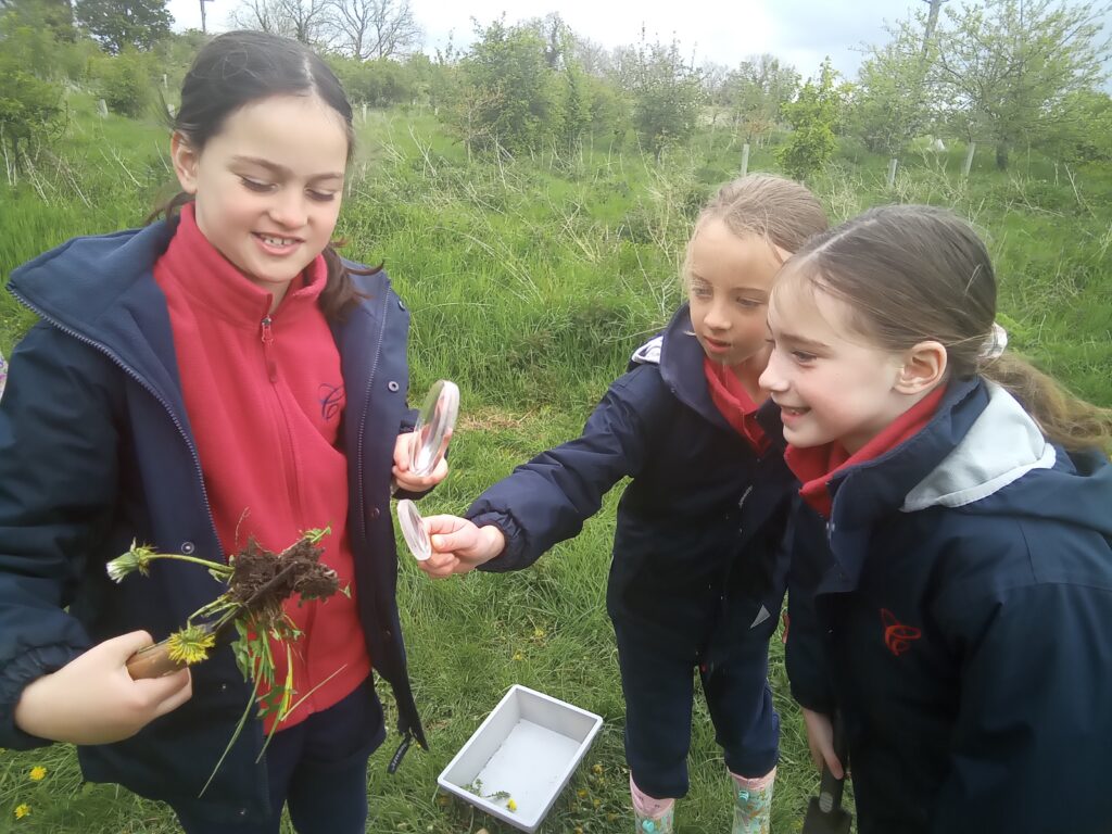 Taking our science outdoors!, Copthill School