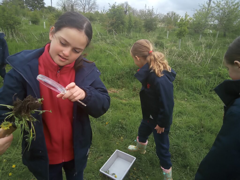 Taking our science outdoors!, Copthill School