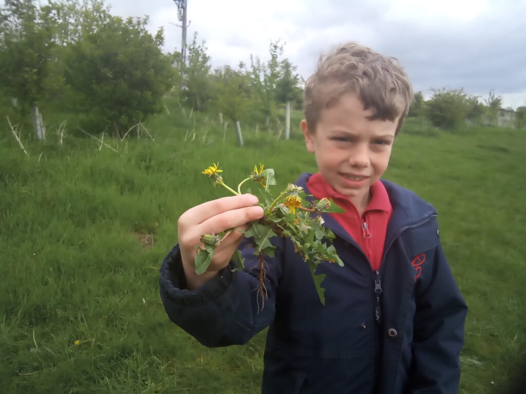 Taking our science outdoors!, Copthill School