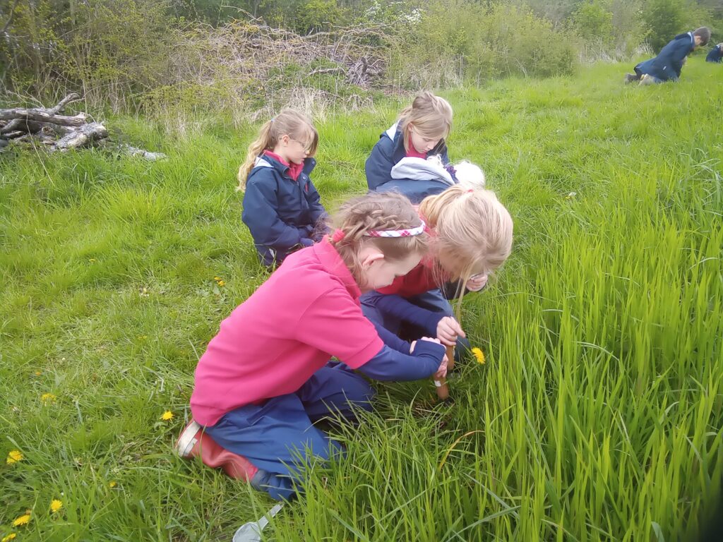 Taking our science outdoors!, Copthill School