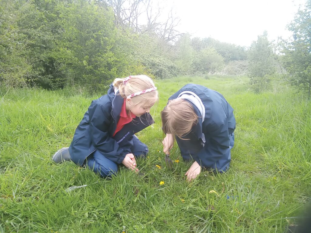 Taking our science outdoors!, Copthill School