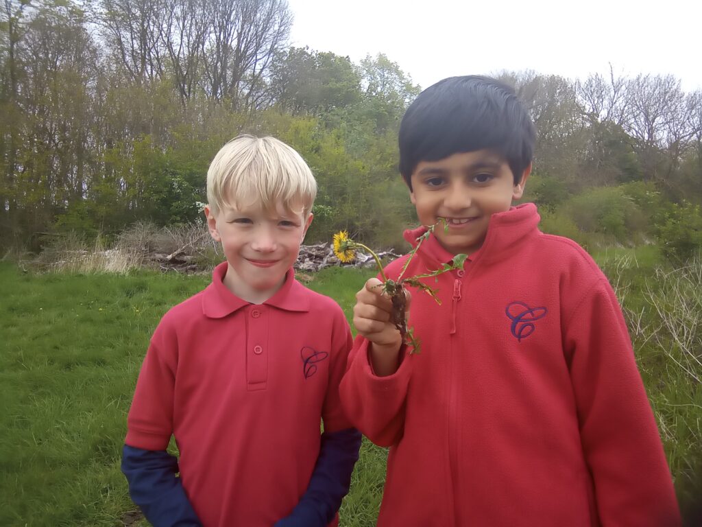 Taking our science outdoors!, Copthill School